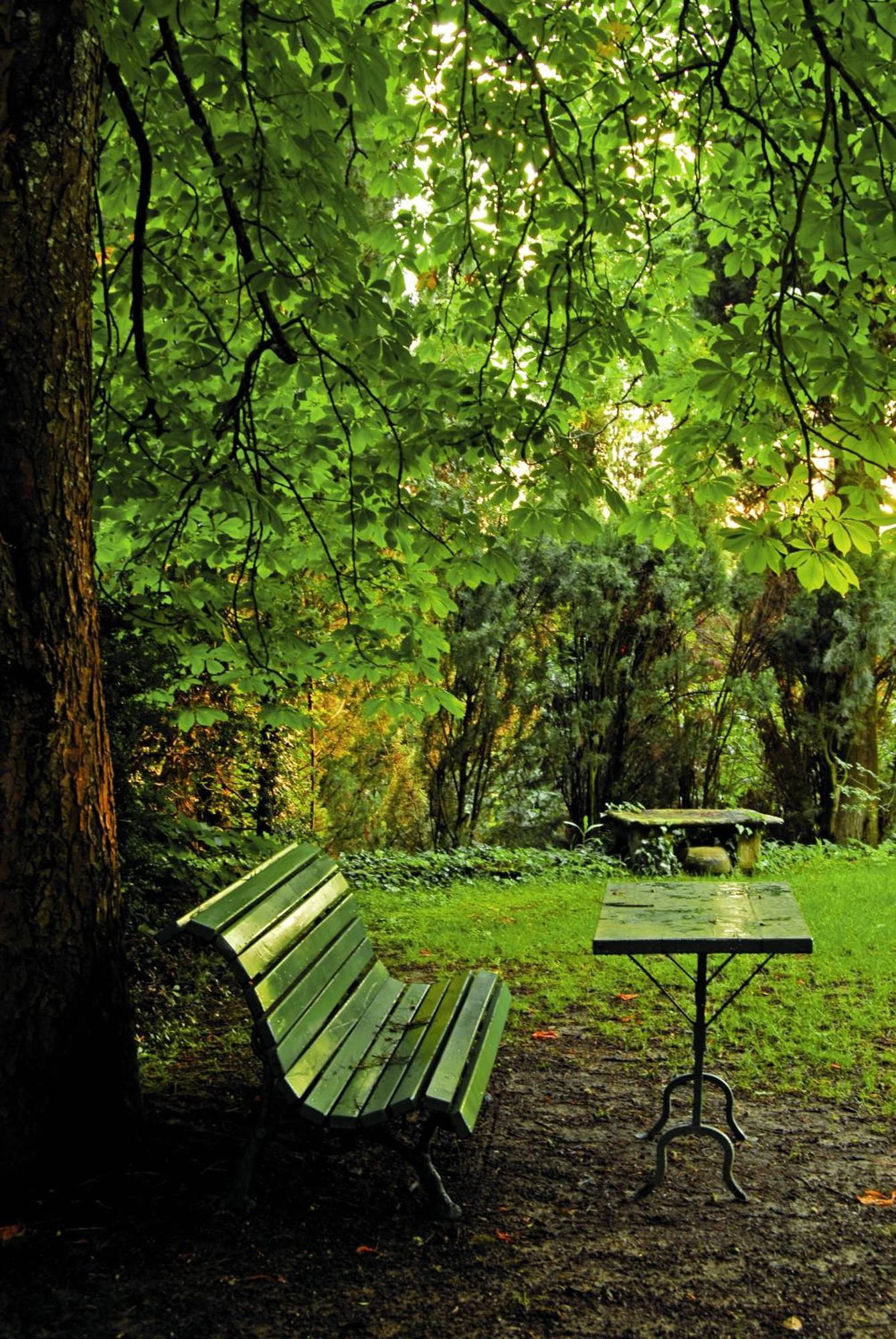 Relais La Torre Farm stay Chiassa Superiore