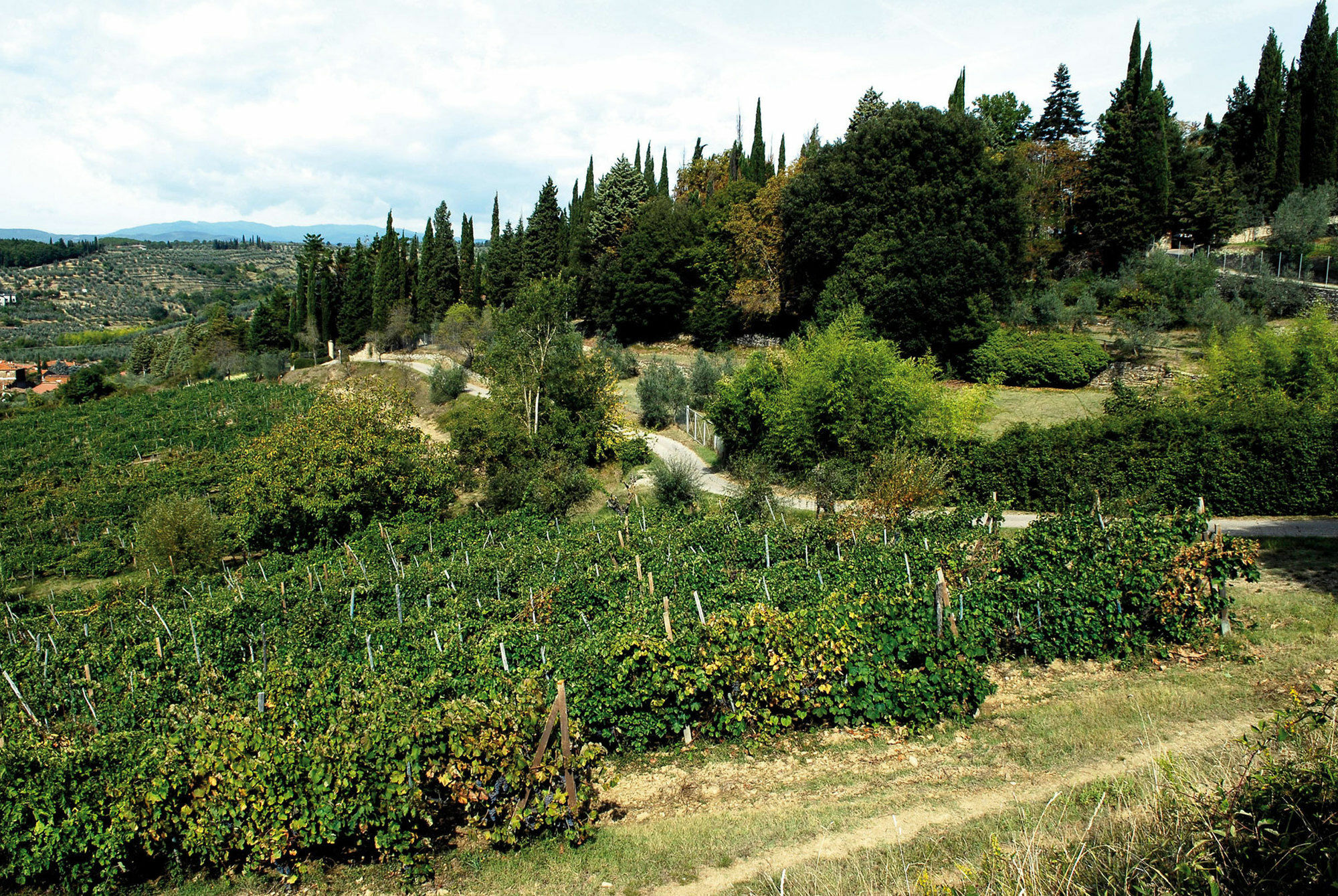 Farm stay Relais La Torre Chiassa Superiore